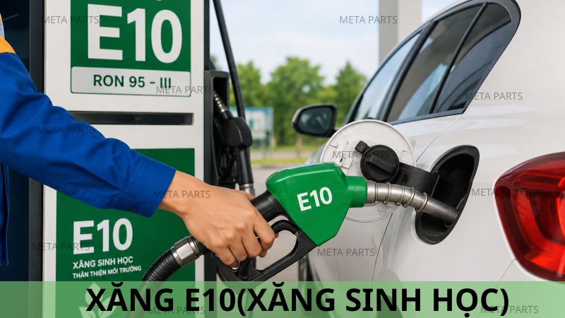 Xăng E10 còn được gọi là xăng sinh học